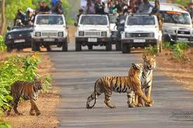 Jim Corbett