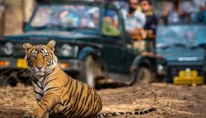 Ranthambore